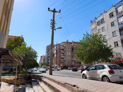 İşyeri-Dükkan & Mağaza