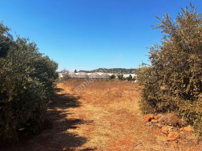 Antalya Havalimanı Yakını 396m2 İmarlı Yola Cephe Satılık Arsa