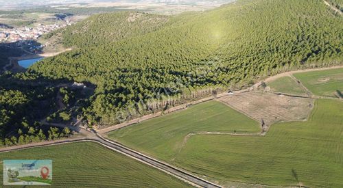 Arsa-Tarla