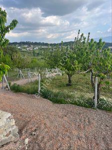 Arsa-Özel Kullanım