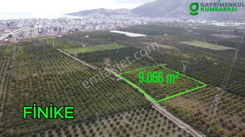 Arsa-Bağ & Bahçe