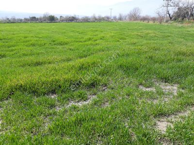 Arsa-Ticari İmarlı