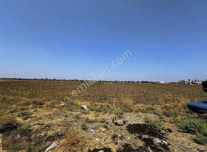 Arsa-Sanayi İmarlı