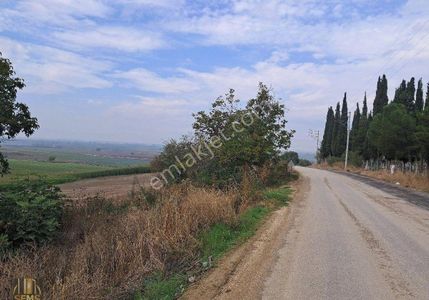 Arsa-Depo, Antrepo İzinli