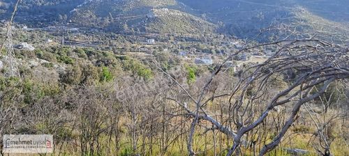 Arsa-Özel Kullanım