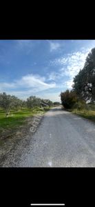 Sahibinden Saipler De Yatırımlık Yer