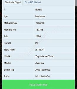 Arsa-Zeytinlik