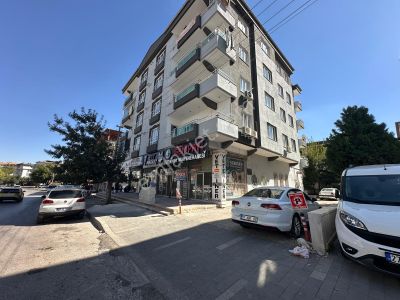 İşyeri-Dükkan & Mağaza