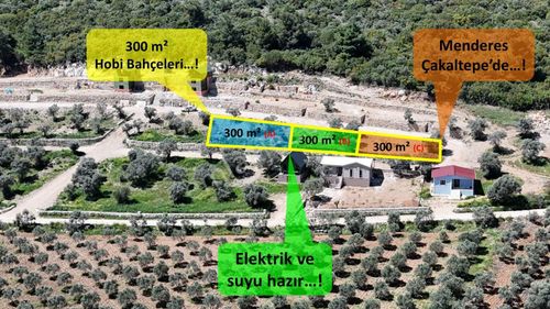 Arsa-Bağ & Bahçe