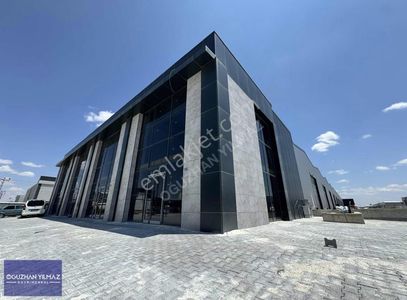 İşyeri-Dükkan & Mağaza