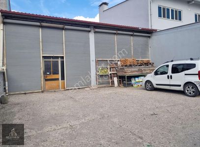 İşyeri-Dükkan & Mağaza