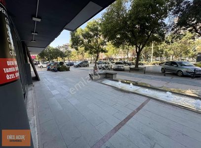 İşyeri-Dükkan & Mağaza