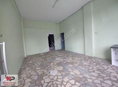 İşyeri-Dükkan & Mağaza