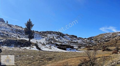 Arsa-Tarla