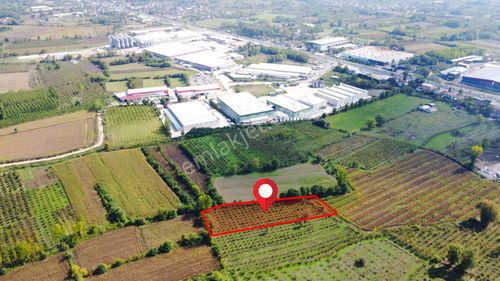 Arsa-Konut+Ticaret Alanı