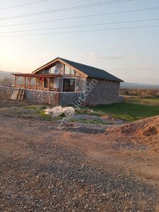 Arsa-Zeytinlik