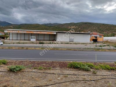 Arsa-Konut+Ticaret Alanı