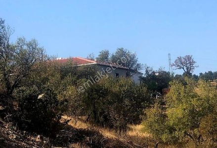 Arsa-Konut İmarlı