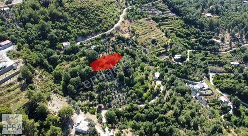 Alanya Dimçayı Üzümlü Satılık İki Katlı Taş Ev Ve Arsası