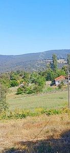 Arsa-Bağ & Bahçe