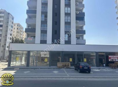 İşyeri-Dükkan & Mağaza