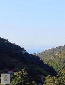 Arsa-Tarla