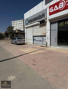 İşyeri-Dükkan & Mağaza
