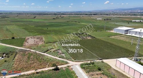 Arsa-Depo, Antrepo İzinli