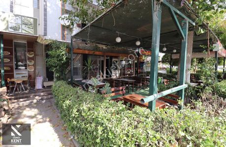 İşyeri-Dükkan & Mağaza