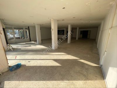 İşyeri-Dükkan & Mağaza