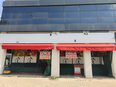 İşyeri-Dükkan & Mağaza