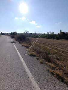 Arsa-Tarla