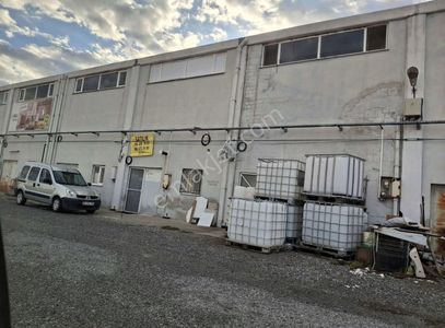 İşyeri-Dükkan & Mağaza