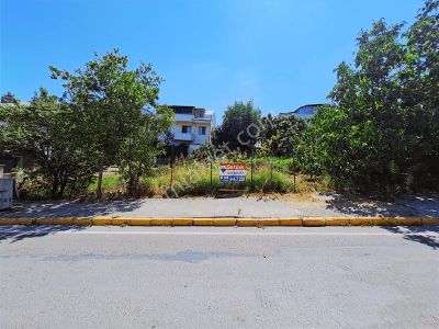 Arsa-Konut İmarlı