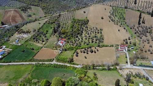 Arsa-Tarla