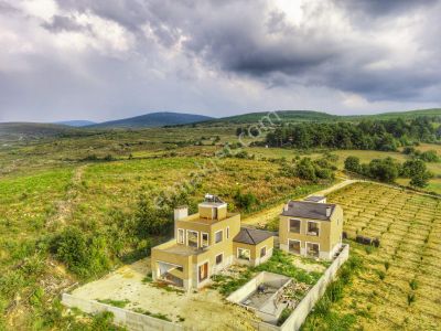 Arsa-Bağ & Bahçe