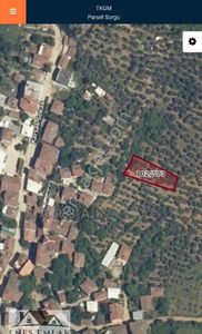 Arsa-Zeytinlik