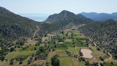 Arsa-Tarla