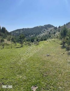 Arsa-Tarla