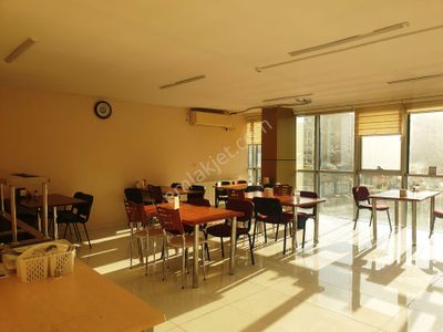 İşyeri-Plaza Katı