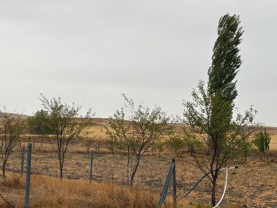 Arsa-Tarla
