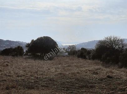 Arsa-Tarla