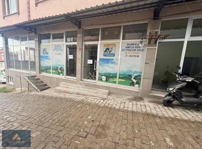 İşyeri-Dükkan & Mağaza