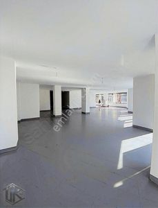 İşyeri-Dükkan & Mağaza