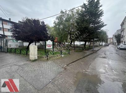 İşyeri-Dükkan & Mağaza