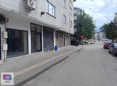 İşyeri-Dükkan & Mağaza