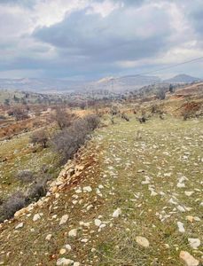Arsa-Konut İmarlı