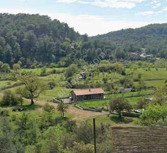 Arsa-Tarla
