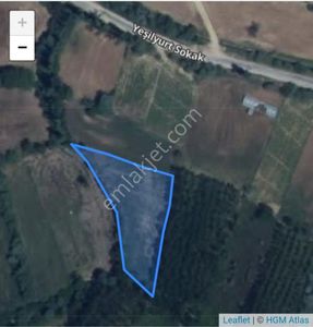 Arsa-Tarla