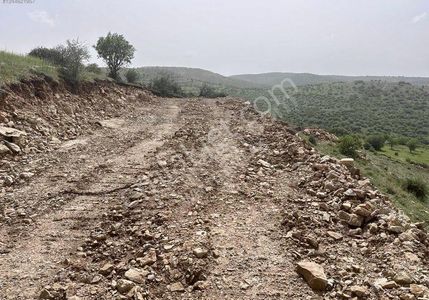 Arsa-Bağ & Bahçe